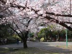 与野公園の写真のサムネイル写真33