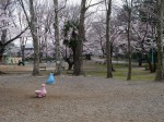 与野公園の写真のサムネイル写真34