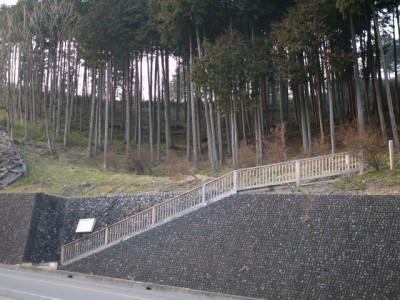 金尾山つつじ公園の写真2