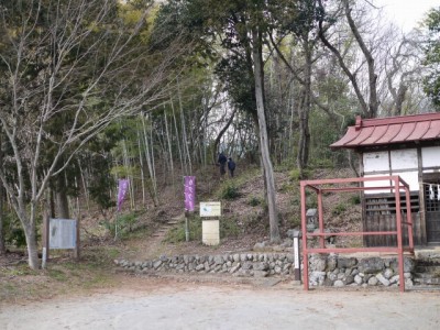 白砂公園の写真3