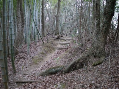 白砂公園の写真5