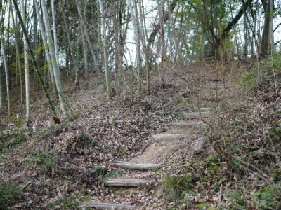 白砂公園 カタクリの里の写真11