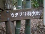 白砂公園 カタクリの里の写真のサムネイル写真25