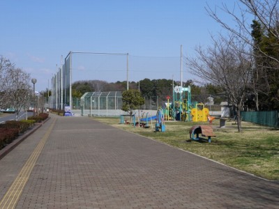 秋葉の森総合公園の写真14