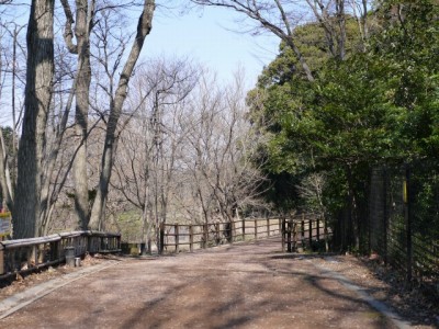 秋葉の森総合公園の写真22