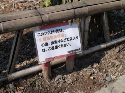 秋葉の森総合公園の写真23