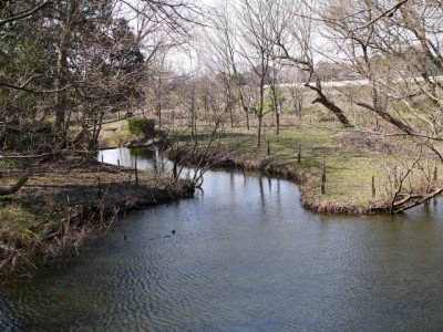 秋葉の森総合公園の写真26