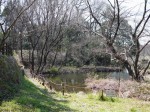 秋葉の森総合公園の写真のサムネイル写真32