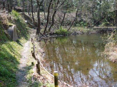 秋葉の森総合公園の写真33