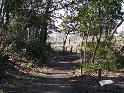 秋葉の森総合公園の写真35