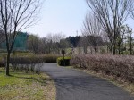 秋葉の森総合公園の写真のサムネイル写真38