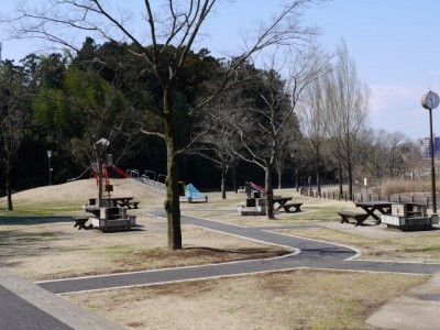 秋葉の森総合公園の写真41