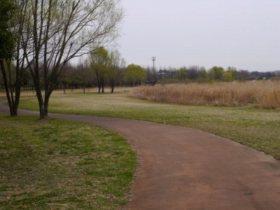 びん沼自然公園の写真4