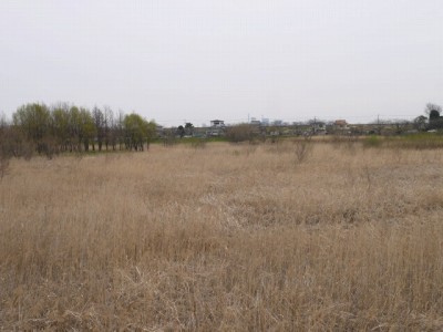 びん沼自然公園の写真17