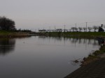 びん沼川の釣りの写真のサムネイル写真6