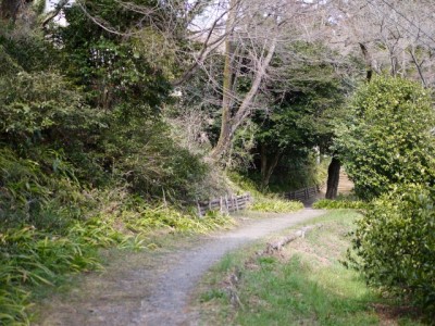 都幾山 慈光寺の写真