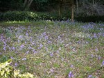 都幾山 慈光寺の写真のサムネイル写真11