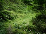 都幾山 慈光寺の写真のサムネイル写真49