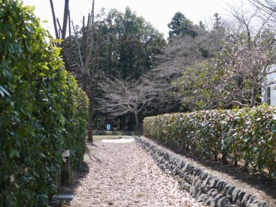 滑川町エコミュージアムセンターの写真12