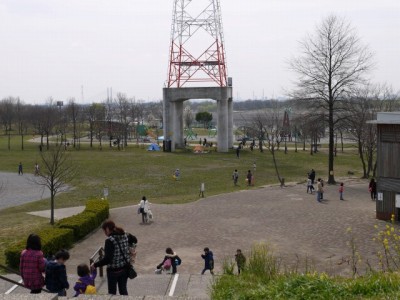 荒川彩湖公園の写真24