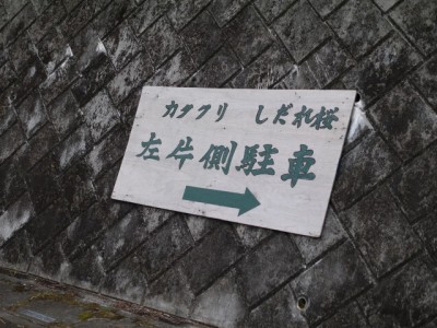 神泉カタクリの里（飯盛山）の写真2