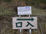 神泉カタクリの里（飯盛山）の写真のサムネイル写真4