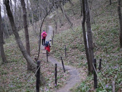 神泉カタクリの里（飯盛山）の写真15