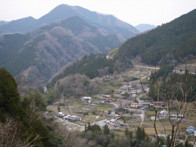 県道289号線からの風景の写真2