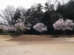 唐子中央公園の写真のサムネイル写真3