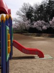 唐子中央公園の写真のサムネイル写真4