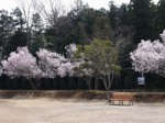 唐子中央公園の写真のサムネイル写真5
