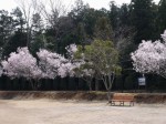 唐子中央公園の写真のサムネイル写真5