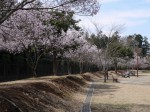 唐子中央公園の写真のサムネイル写真9