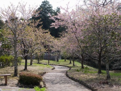 唐子中央公園の写真16