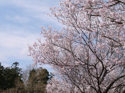 唐子中央公園の写真18