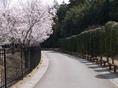 唐子神社の写真