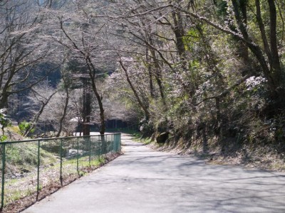 日本水の森（風のみち遊歩道）の写真