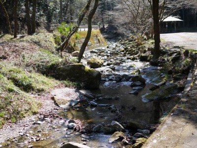 日本水の森（風のみち遊歩道）の写真5