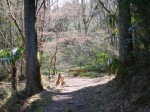 日本水の森（風のみち遊歩道）の写真のサムネイル写真9