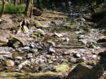 日本水の森（風のみち遊歩道）の写真のサムネイル写真10