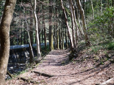 日本水の森（風のみち遊歩道）の写真11