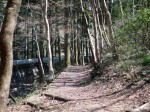 日本水の森（風のみち遊歩道）の写真のサムネイル写真11