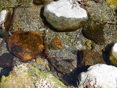 日本水の森（風のみち遊歩道）の写真13