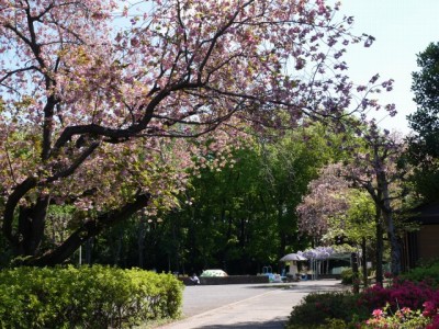 桶川市子ども公園 わんぱく村の写真5