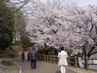 御伊勢塚公園の写真2