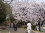 御伊勢塚公園の写真のサムネイル写真2