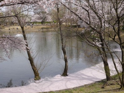 御伊勢塚公園の写真3