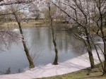 御伊勢塚公園の写真のサムネイル写真3
