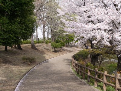 御伊勢塚公園の写真4