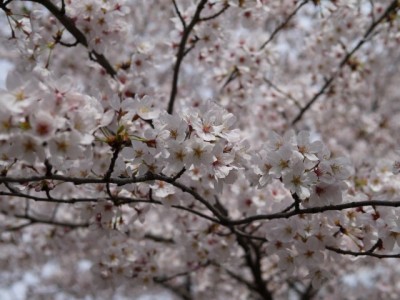 御伊勢塚公園の写真5